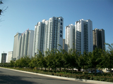 ALIM0060.JPG