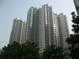 ALIM0215.JPG
