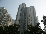 ALIM0219.JPG