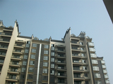 ALIM0226.JPG